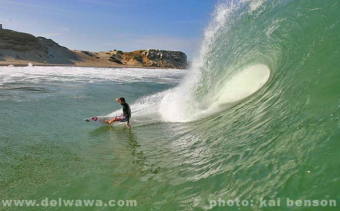 surf_losorganos_g.jpg